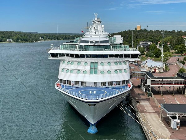 Les Secrets d'un Feu de Camp Idéal : Guide Complet pour un Feu de Camping Réussi